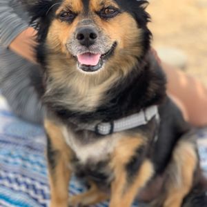 Jekku posing outside