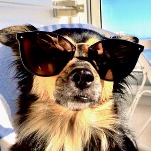 Welcome to Jekku's World!